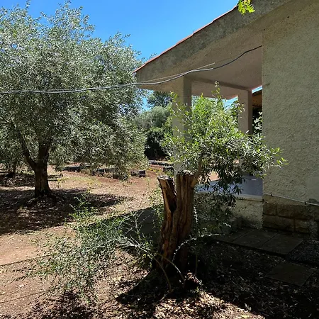 Villa Domo Austinu - Abbasanta Extérieur photo